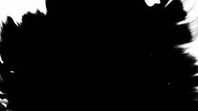 Turbulent painting blots spread across the canvas in an abstract ink splatter transition of black and white. - Powered by Shutterstock - Get 15% off with code: PIKWIZARD15