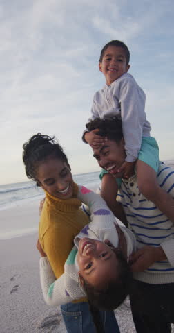 Vertical video of happy biracial family embracing on sunny beach. healthy, active time beach holiday. Royalty-Free Stock Footage #3453451363
