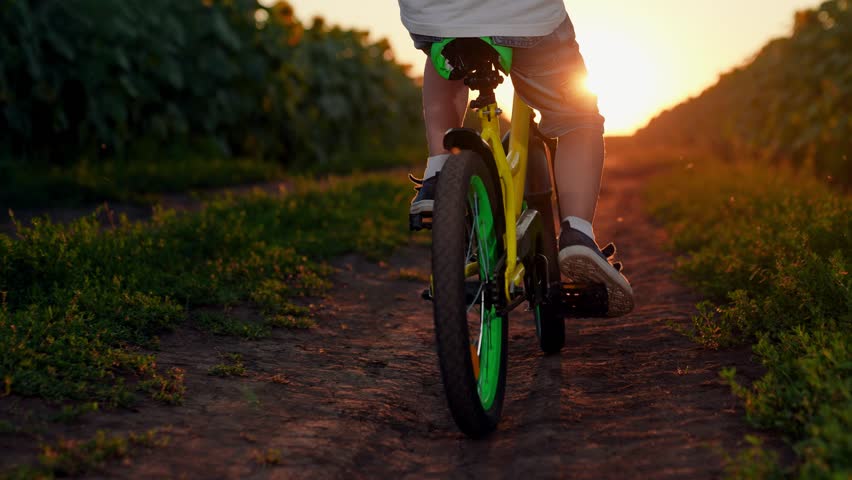Child bike ride in nature, sun. Child rides bicycle, close-up. Child legs spin pedals. Kid rides into sunset, spinning bicycle wheel. Kid dream of riding bike. Sports lifestyle. Happy family in park.
