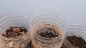 Hand mixing indoor diy or do it yourself compost of kitchen scraps in plastic bottle.