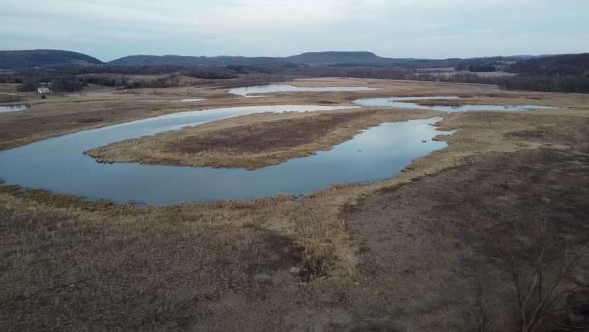 Flying Over a Marsh in Southern Wisconsin