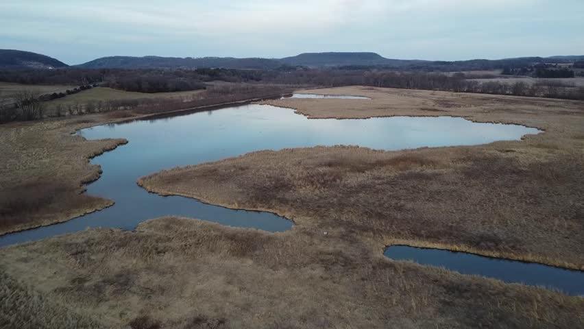 Flying Over a Marsh in Southern Wisconsin