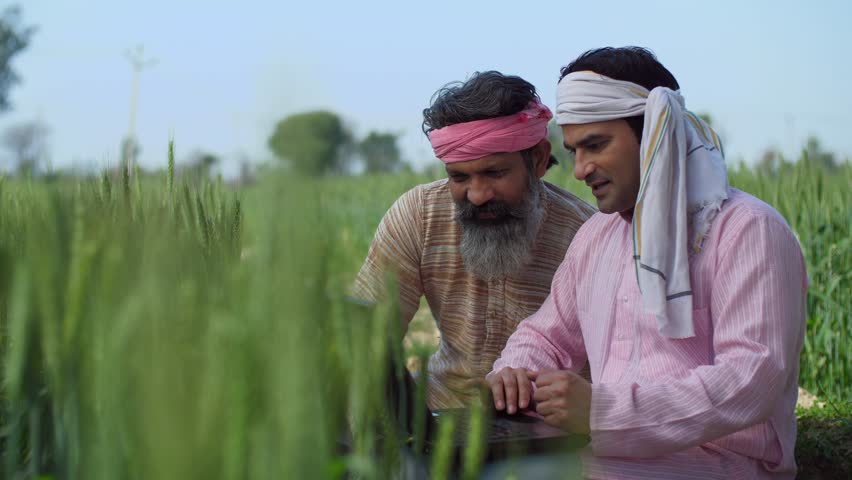 Modern villagers discussing cultivation plans in a wheat field - agriculture, farming, farmers, checking farm subsidy . A young Indian farmer checking farming techniques online - use of technology ... Royalty-Free Stock Footage #3453593175