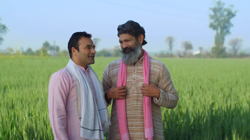 Two desi farmers chatting while standing in front of their farmland - two brothers. Young Indian farmer excitedly showing his healthy crops to an old farmer friend - agriculture, rural lifestyle Royalty-Free Stock Footage #3453593249