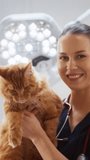Vertical Screen: Professional Veterinarian with Stethoscope Holding a Red Maine Coon in a Contemporary Medical Veterinary Clinic Facility. Young Female Vet Looking at Camera and Charmingly Smiling