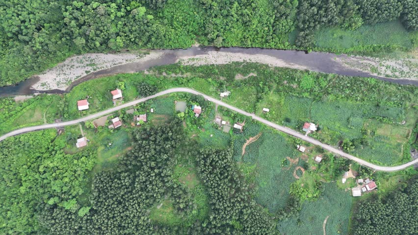 compatriots in small villages in the forest