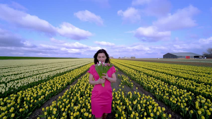 Beautiful Woman in summer dress standing in colorful tulip flower fields in Amsterdam region, Holland, Netherlands. Magical Netherlands landscape with tulip field in Holland Trevel and spring concept.