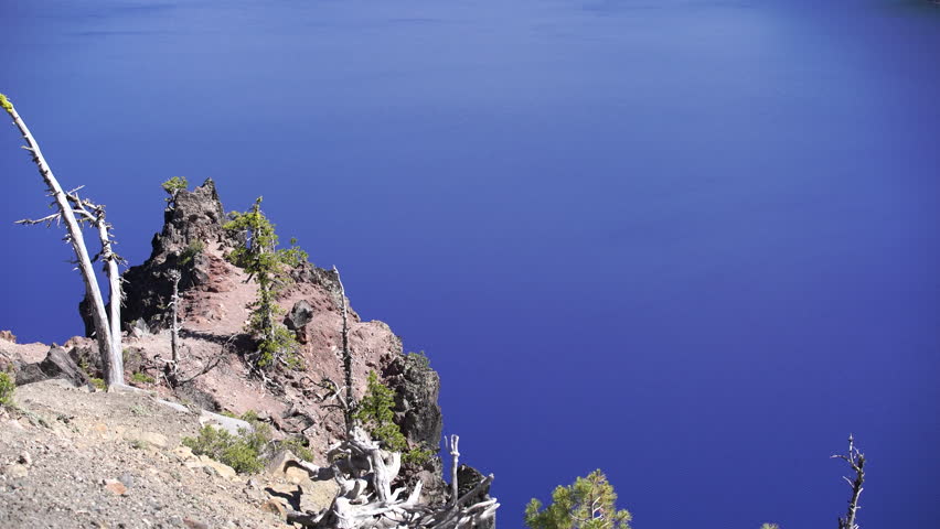 Crater Lake trees on rugged cliffs along the Rim Oregon USA