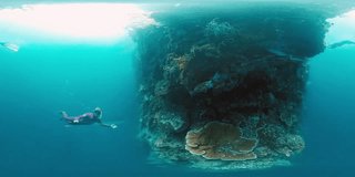 360vr underwater footage of the freediver swimming near the coral reef wall in the tropical sea in West Papua, Indonesia