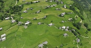 peaceful landscape in terraced fields in Hoang Su Phi, Ha Giang. Video shot in Hoang Su Phi, Ha Giang on July 25, 2023.