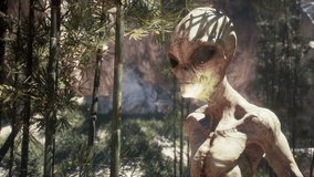 Animation of Aliens Lost in a Remote Forest and Looking Confused in a Strange Realm - Powered by Shutterstock - Get 15% off with code: PIKWIZARD15