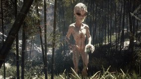 Animation of Aliens Lost in a Remote Forest and Looking Confused in a Strange Realm - Powered by Shutterstock - Get 15% off with code: PIKWIZARD15