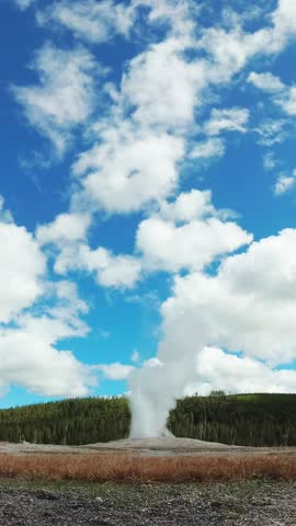 Geyser Old Faithful erupts in Yellowstone National Park in Wyoming, USA