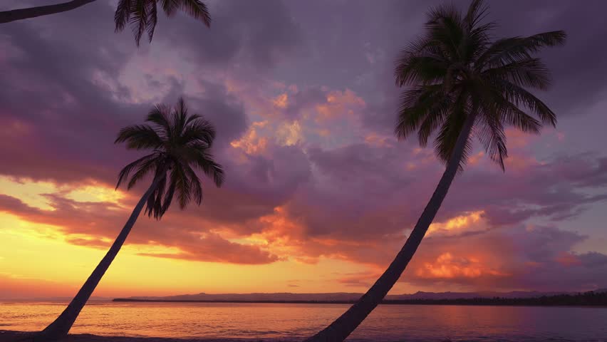 Sunset tropical beach for relaxation on a paradise island. Silhouettes of palm trees against the backdrop of a colored sky like an exotic summer landscape with a calm sea coast. Twilight on the beach.