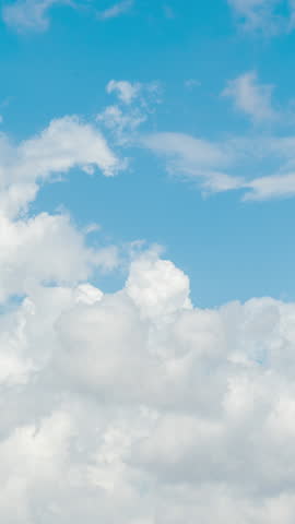 Shutterstock Video