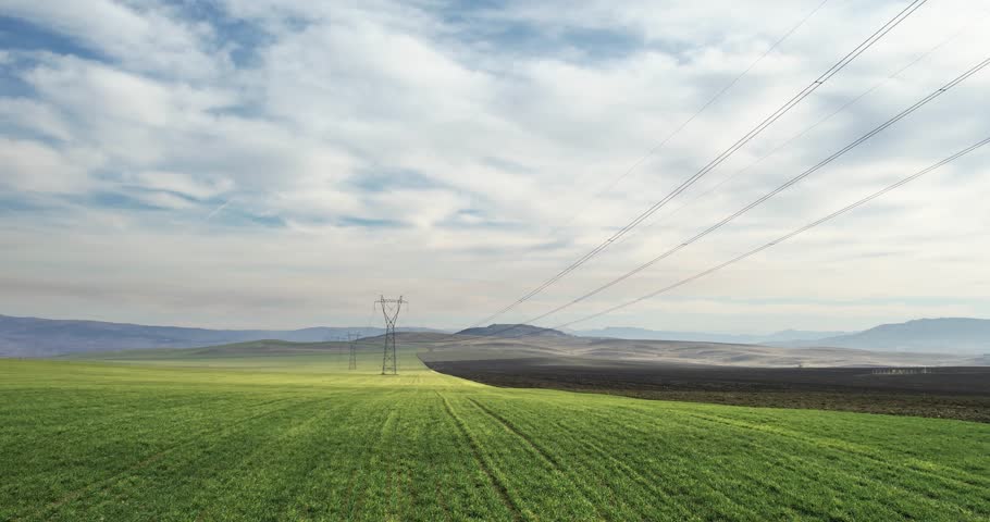 Powerlines on rape agriculture field, industrial background Royalty-Free Stock Footage #3454102843