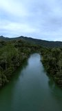 Loboc River Bohol. Philippines . Drone , vertical video