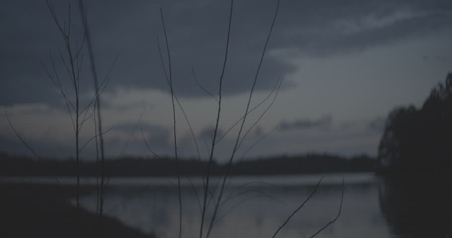 Wide shot of lake at dusk with branches in FG