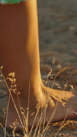 A young woman in a green dress with flowers, walking towards the sunset, through a pine tree.