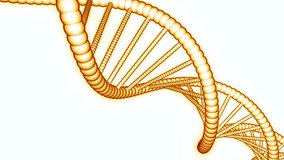 Simple rotating dna chain on white background. Design. Animation of simple dna chain in motion. Medical dna chain on white background for presentation