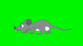 Looping animation of walking rat. Cartoon animal on the green screen background