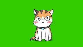orange cat cute animation on green screen, emotion character 4k video