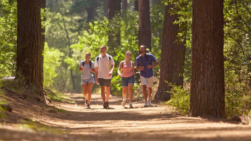 Young active couple with friends wearing backpacks hiking along trail through summer countryside walking towards camera - shot in slow motion
