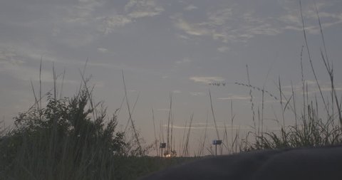 Sky at sunset with tall grass in FG Stock Video