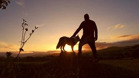 man on his back stroking his border collie dog while watching the sunset in the countryside - Powered by Shutterstock - Get 15% off with code: PIKWIZARD15