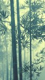 Group of bamboo trees standing tall in a misty forest, vertical