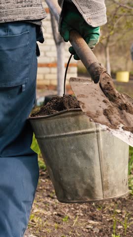 American farm, farmer carries two buckets earth, gardening business, caring plants, trees, farmer works garden, agricultural worker, man carries bucket earth, rear view, road earth field, going work