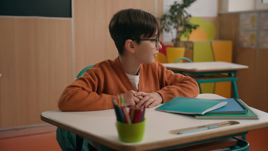 Happy private school boy primary elementary learn schoolboy Caucasian son kid child pupil learner in glasses health medicine at desk at class lesson smile looking at camera education studying smiling Royalty-Free Stock Footage #3454804717