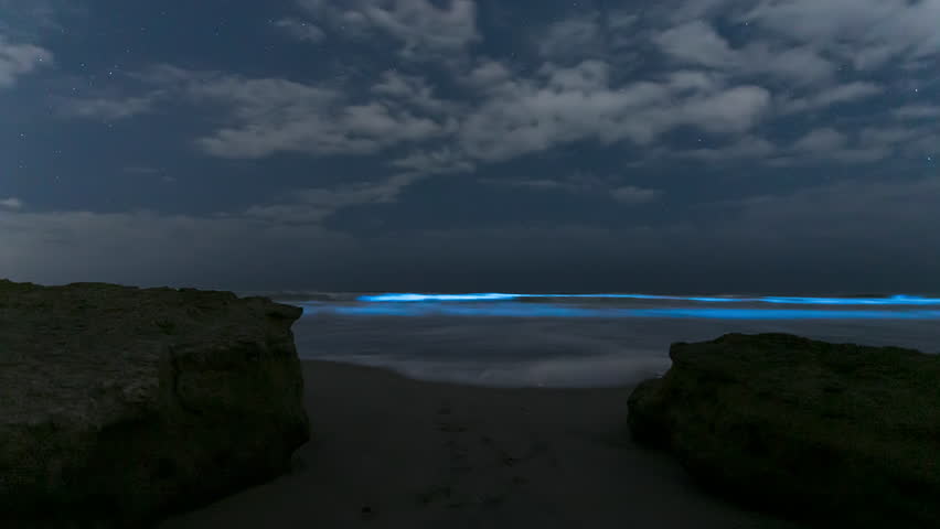 Bioluminescent Waves At La Jolla Beach At Night In California, USA. - timelapse