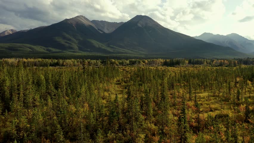 Beautiful aerial view of the Vermilion Lakes and Sulphur Mountain full of pine trees, in autumn on a cloudy day near Banff, Canada.