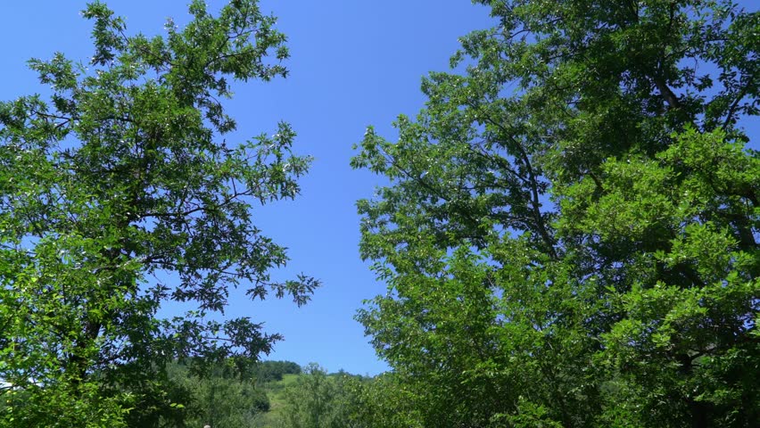 Ca di Gnano, Toano, Villa Minozzo, Reggio Emilia, Italy: Video of the Cadignano bridge over the Dolo stream. 17th-18th century humpback bridge near the village of Quara di Toano