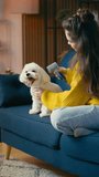 Adolescent girl grooming her fluffy puppy, brushing dog's fur, pet fur care
