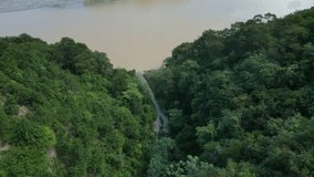 Drone flying over lush forest with river in background, Muchas Aguas at San Cristobal in Dominican Republic. Aerial tilt-up forward