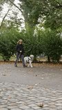Vertical video of Woman with visual impairment walking with her guide dog through the city park, handheld shot. Assistance, companionship, and seeing eye dogs concepts.