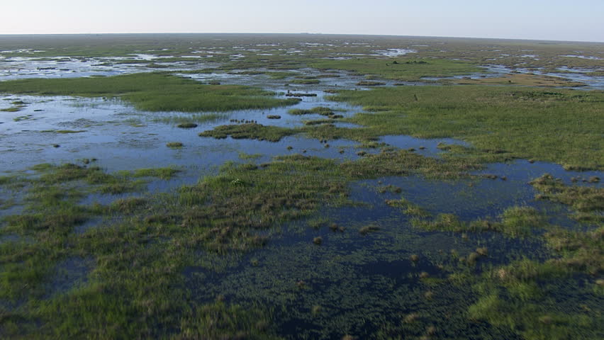 Aerial view of South Florida UNESCO Everglades National Park a delta swamp wetland tropical wildlife area Florida USA