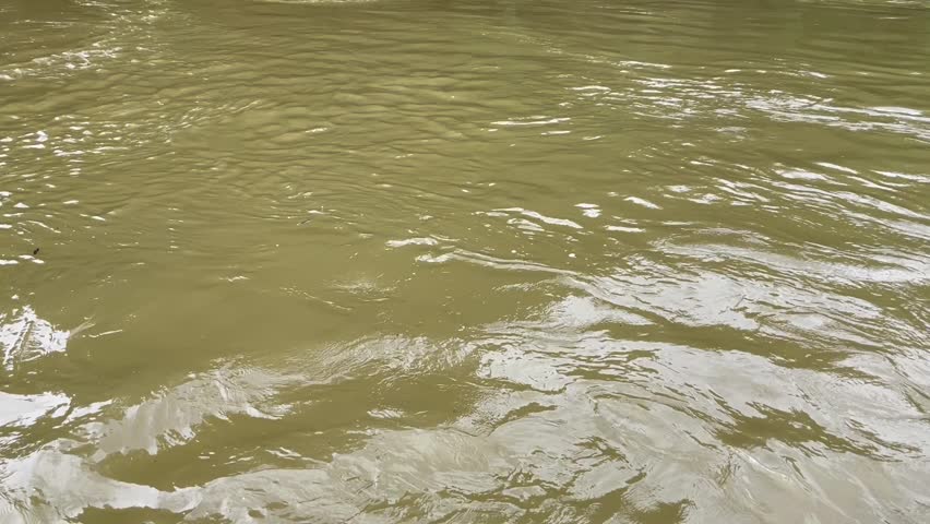 Close up of flowing river turbid water rapids in mountain river. Freshness of nature. Swirling foamy water waves after heavy rain