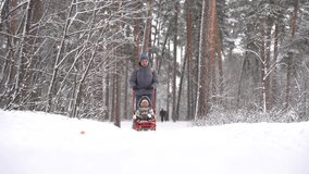 A father is running a child on a sled in the woods in a snowy winter. 4k video.
