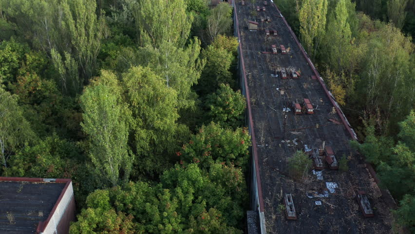 Post-apocalyptic scenery of a building slowly overgrowing with healing nature.
