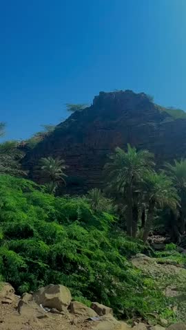 Beautiful mountains and green tree
