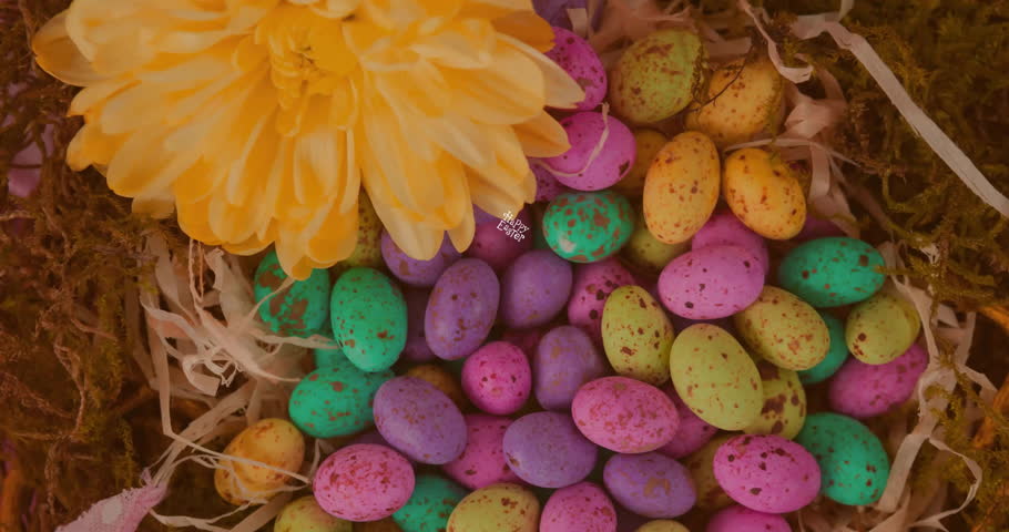 Animation of happy easter text over colourful easter eggs. Easter, religion, festivity, celebration and tradition concept digitally generated video. Royalty-Free Stock Footage #3455466297