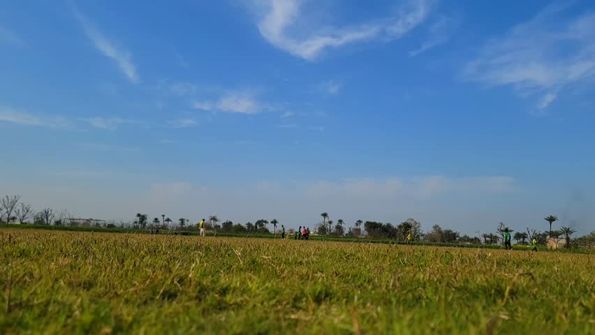 boys playing cricket match in stadium hyperlapse.