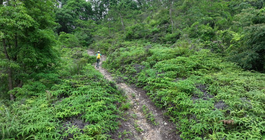 Aerial footage of woman hiker hiking on tropical forest trail