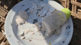 broken eggshell in plate wit salt