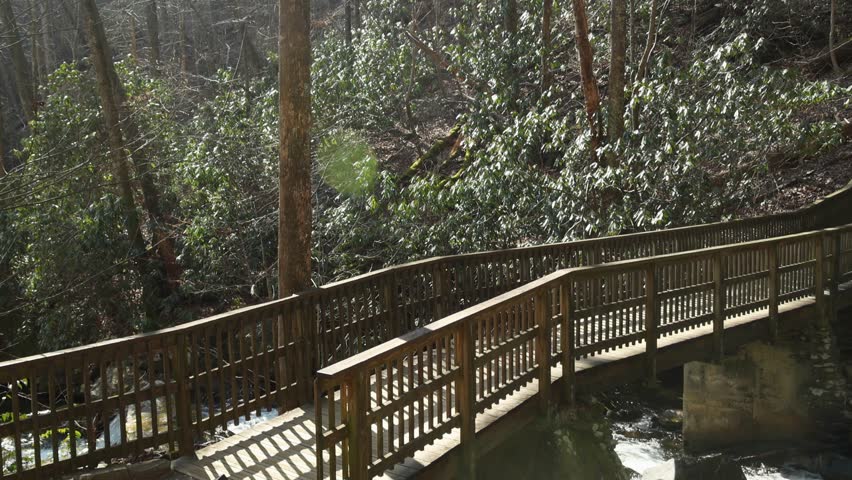 footage of the rushing waters of Smith Creek with rocks and lush green trees and plants at Anna Ruby Falls in Helen Georgia USA