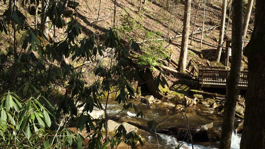 slow motion footage of the rushing waters of Smith Creek with rocks and lush green trees and plants at Anna Ruby Falls in Helen Georgia USA