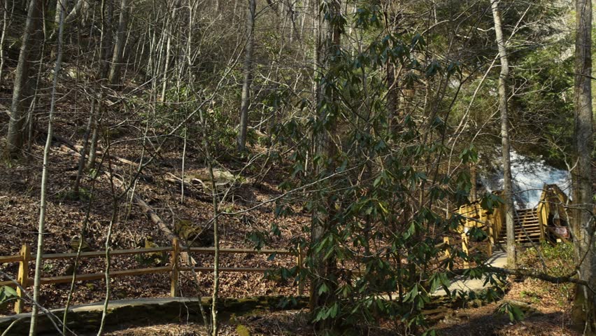 panning footage of the rushing waters of Smith Creek and waterfall at Anna Ruby Falls with rocks and lush green trees and plants in Helen Georgia USA